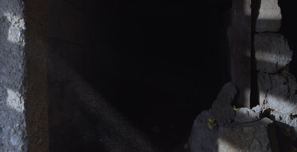 Golden Snout Teaser - DP